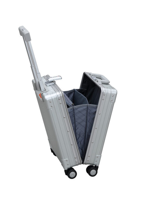 Vertical Business Carry-On 20&quot; Koffer in Platin