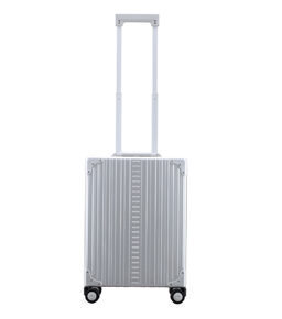 Vertical Overnight Carry-On 21" Koffer in Platin