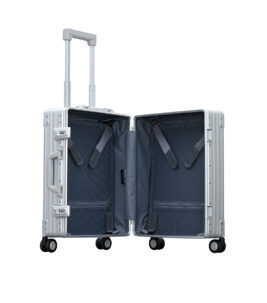 Classic Carry-On 21" Koffer in Platin