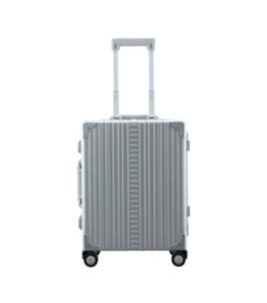 Domestic Carry-On 21" Koffer in Platin