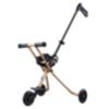 Micro Trike Deluxe, Gold 1