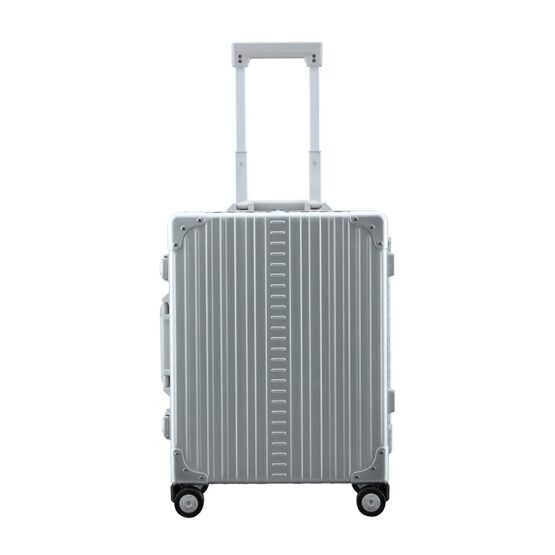 Domestic Carry-On 21&quot; Koffer in Platin